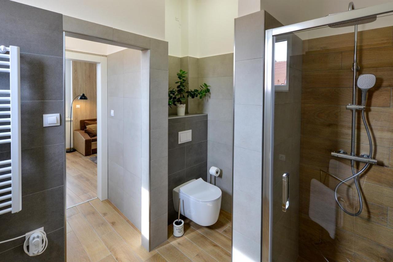 Soho Apartment Pisek (South Bohemian)